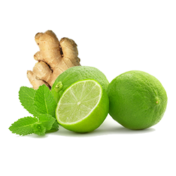 ЛАЙМ И ДЖИНДЖЪР